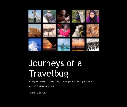 Journeys of a Travelbug book cover