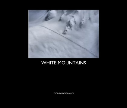 WHITE MOUNTAINS book cover