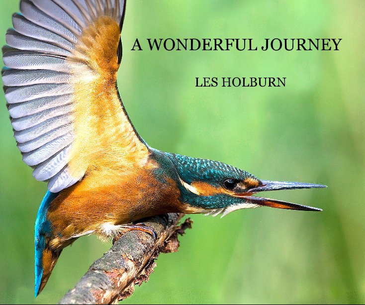 View A WONDERFUL JOURNEY by LES HOLBURN