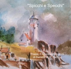 spicchi e specchi (nuovo Small) book cover