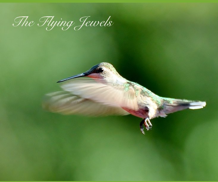 Bekijk The Flying Jewels op jkhulsey