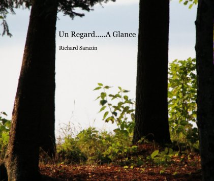 Un Regard.....A Glance book cover