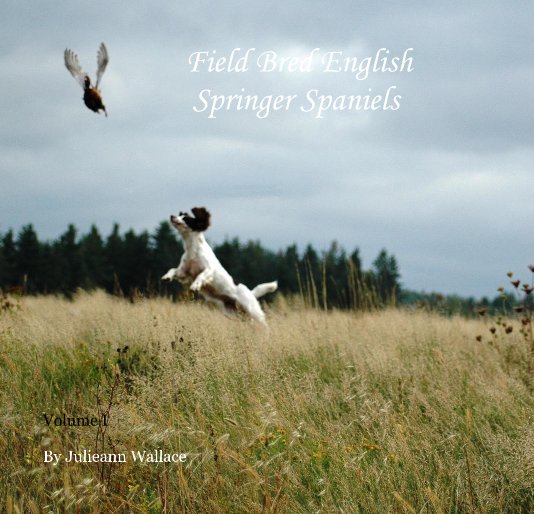 View Field Bred English Springer Spaniels by Julieann Wallace