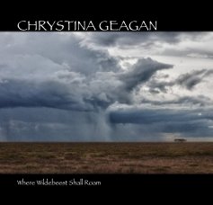 CHRYSTINA GEAGAN book cover