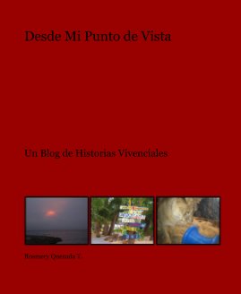 Desde Mi Punto de Vista book cover