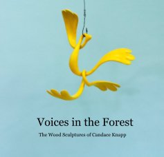 Voices in the Forest book cover