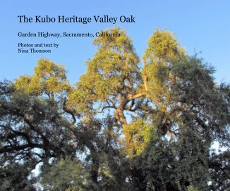 The Kubo Heritage Valley Oak book cover