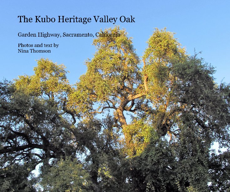 View The Kubo Heritage Valley Oak by Photos and text by Nina Thomson