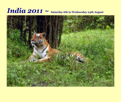 India 2011 ~ Saturday 6th to Wednesday 24th August book cover