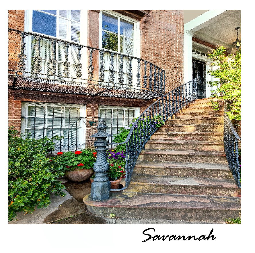 View Savannah:  Photographs by Edie Levenson.  Revised Edition. by Edie Levenson