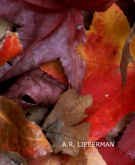 A.R. LIEBERMAN book cover