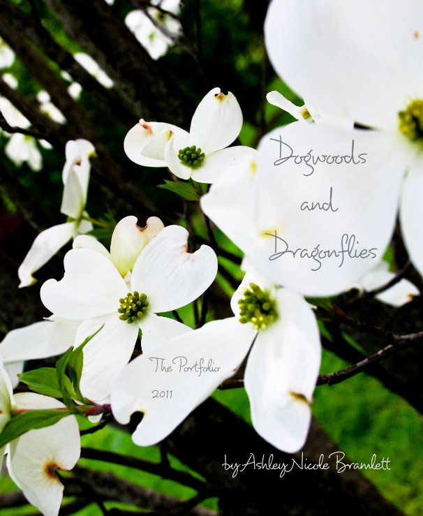 View Dogwoods and Dragonflies by Ashley Nicole Bramlett
