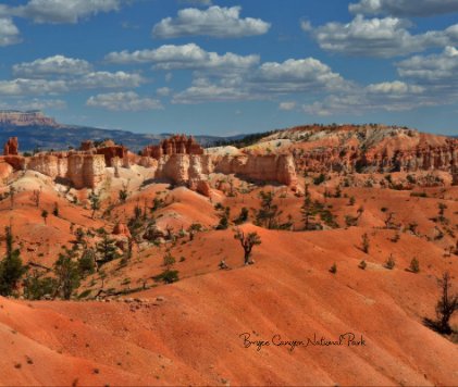 Bryce Canyon National Park book cover