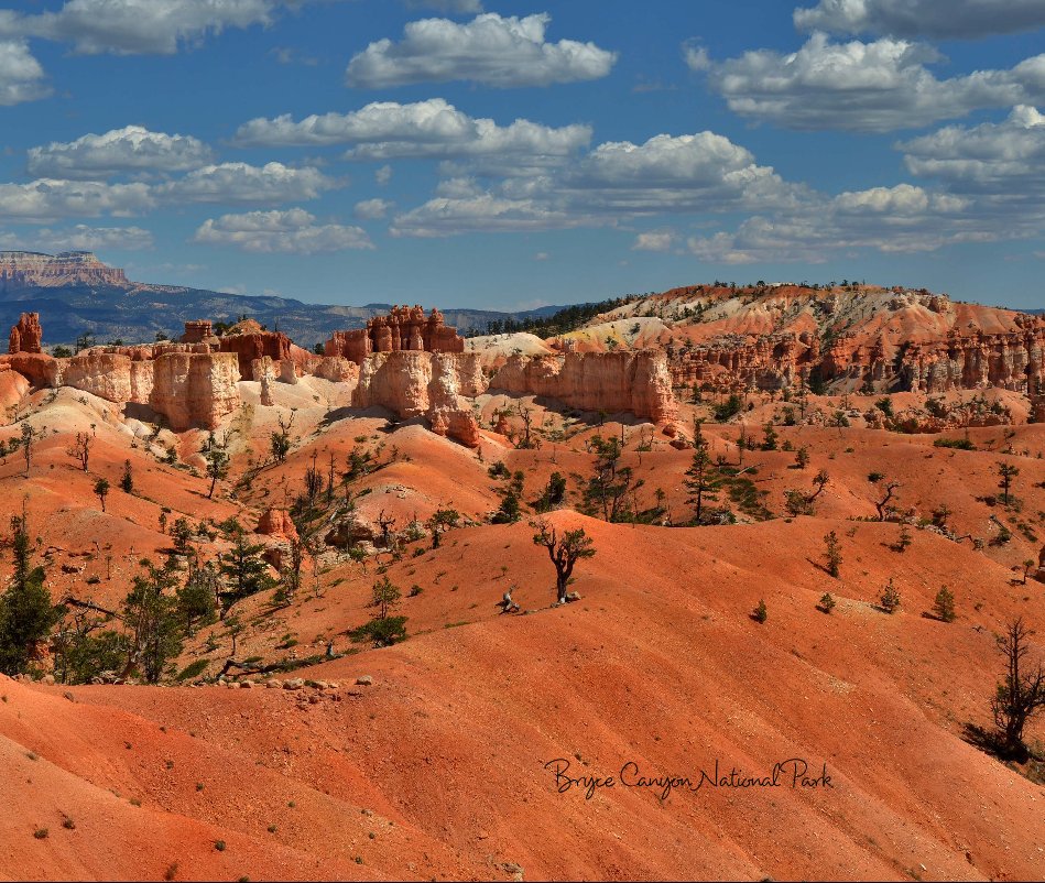 View Bryce Canyon National Park by IFOTO4U
