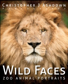 Wild Faces book cover
