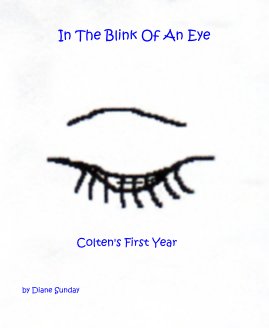 In The Blink Of An Eye book cover