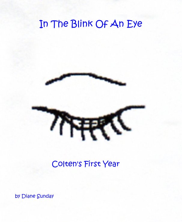 View In The Blink Of An Eye by Diane Sunday