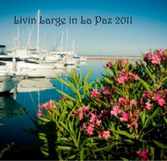 Livin Large in La Paz 2011 book cover
