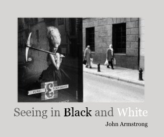 Seeing in Black and White book cover