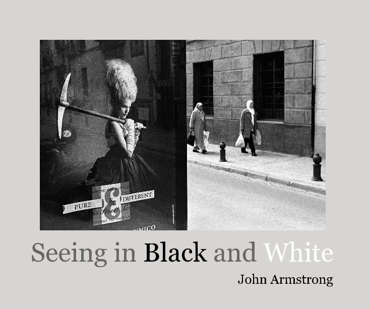 View Seeing in Black and White by John Armstrong