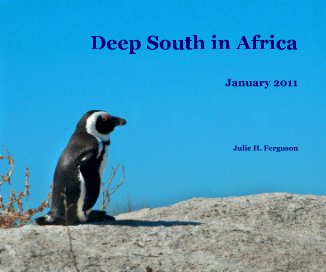 Deep South in Africa book cover