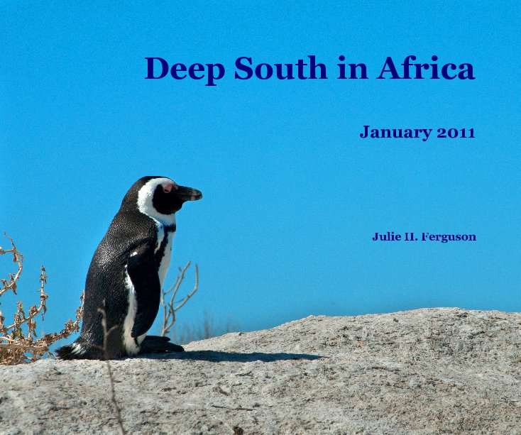 View Deep South in Africa by Julie H. Ferguson
