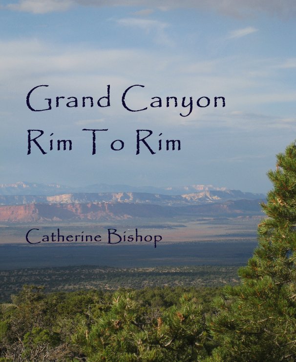 View Grand Canyon Rim To Rim by Catherine Bishop