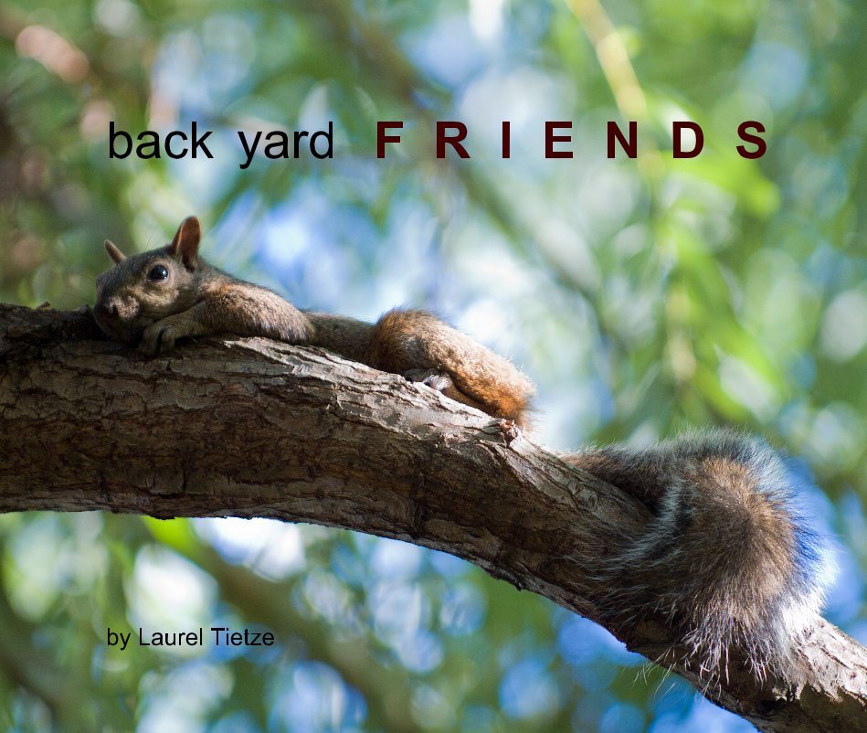 backyard friends nach Laurel Tietze anzeigen