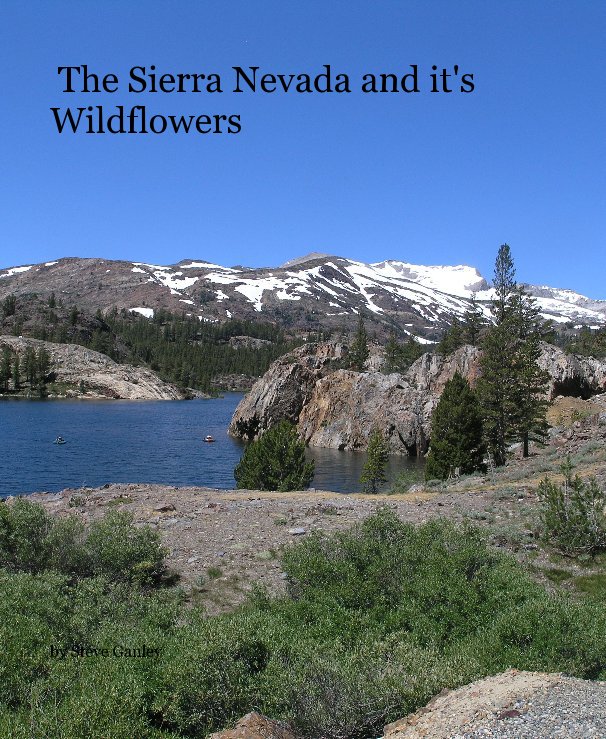 View The Sierra Nevada and it's Wildflowers by Steve Ganley