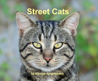 Street Cats by George Atsametakis book cover