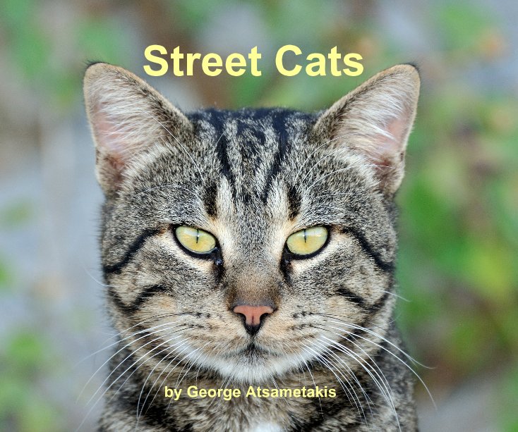 Ver Street Cats by George Atsametakis por George Atsametakis