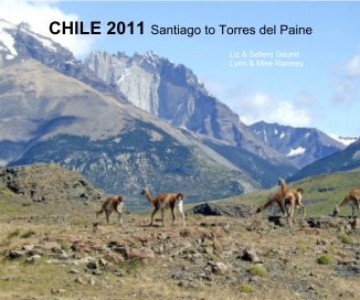CHILE 2011 Santiago to Torres del Paine book cover