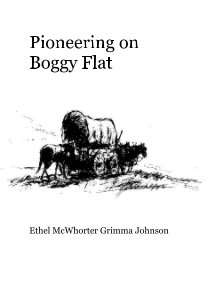 Pioneering on Boggy Flat book cover
