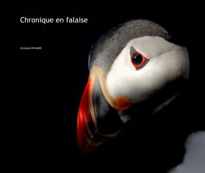 Chronique en falaise book cover