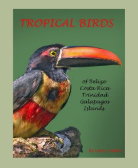 TROPICAL BIRDS book cover