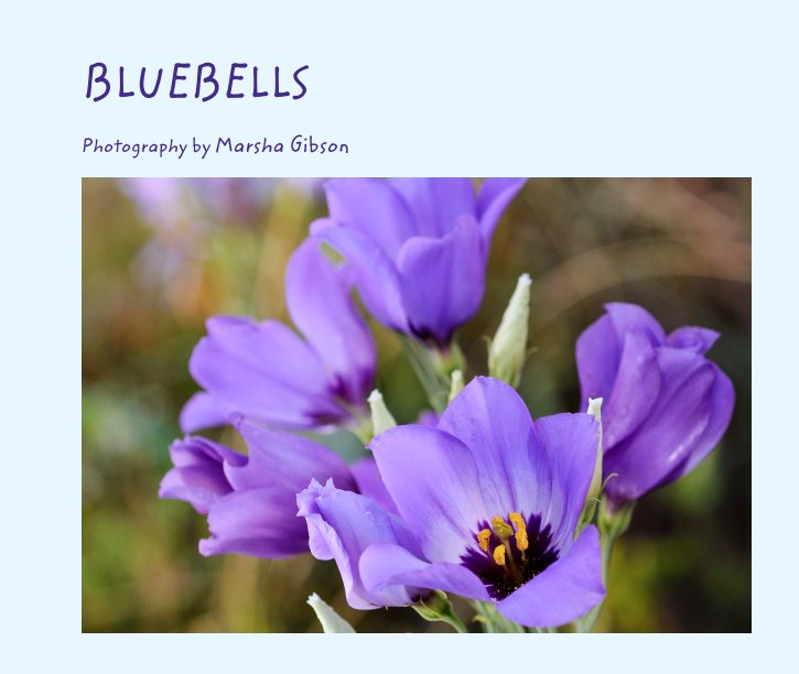 View BLUEBELLS by Photography by Marsha Gibson