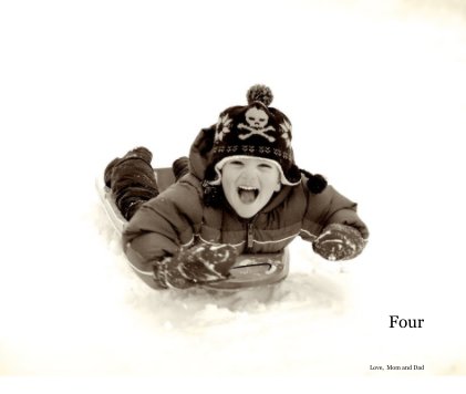 Four book cover