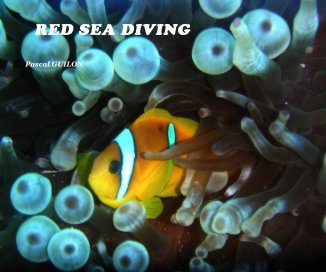 RED SEA DIVING book cover