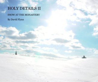 HOLY DETAILS II book cover