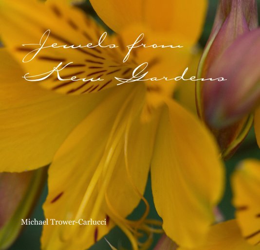 View Jewels from Kew Gardens by Michael Trower-Carlucci