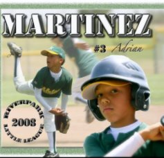 Adrian 2008 Baseball Season book cover