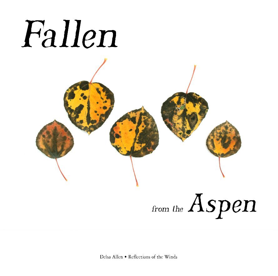 View Fallen from the Aspen by Delsa Allen / Reflections of the Winds