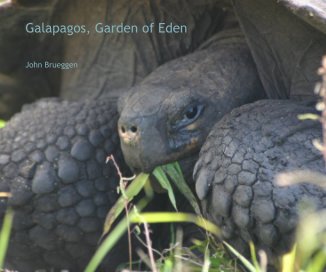 Galapagos, Garden of Eden book cover