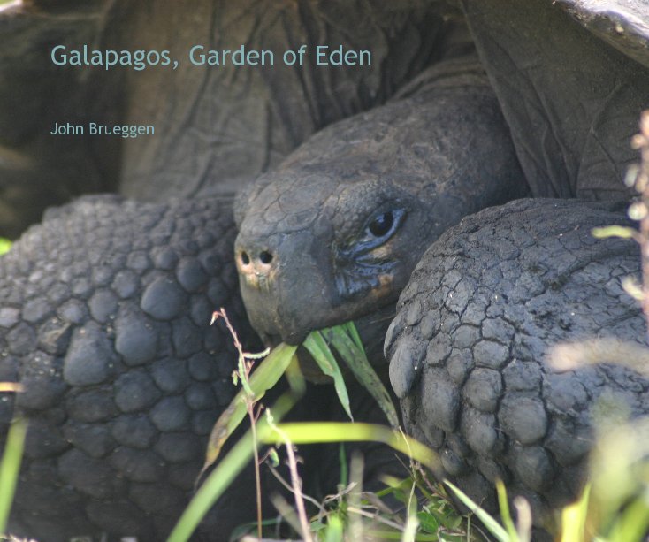 View Galapagos, Garden of Eden by John Brueggen