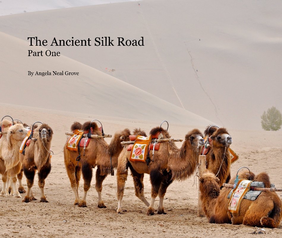 Visualizza The Ancient Silk Road Part One di Angela Neal Grove