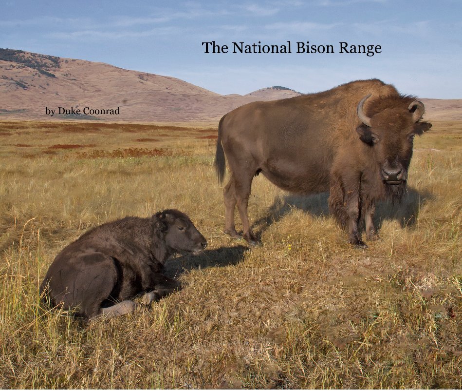 View The National Bison Range by Duke Coonrad