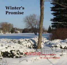 Winter's Promise book cover