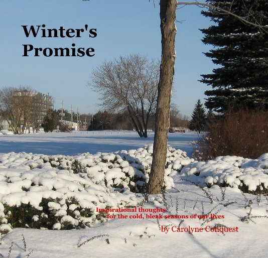Bekijk Winter's Promise op Carolyne Conquest