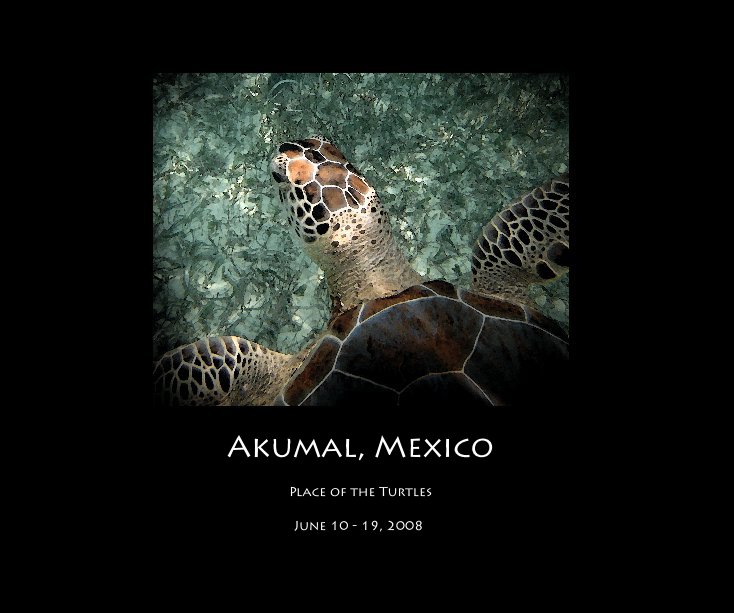 Visualizza Akumal, Mexico di June 10 - 19, 2008
