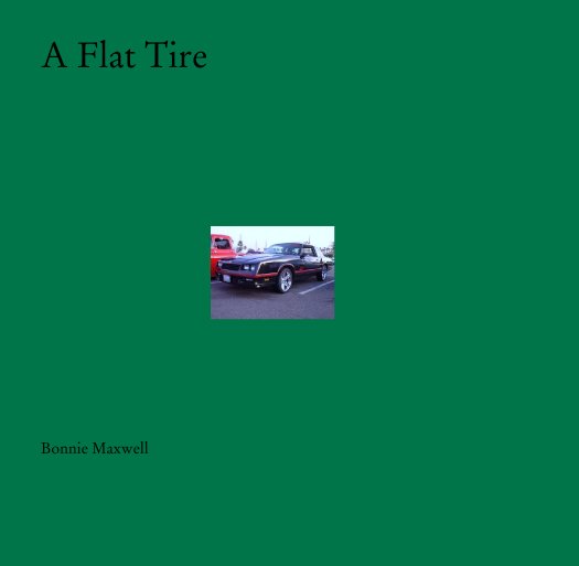 View A Flat Tire by Bonnie Maxwell